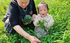 一生只爱你主题曲